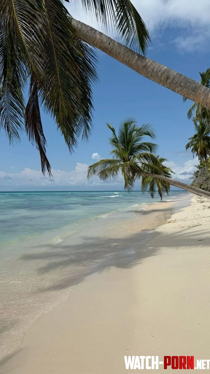 Saona islandDominican Republic by yeuxdusphynx