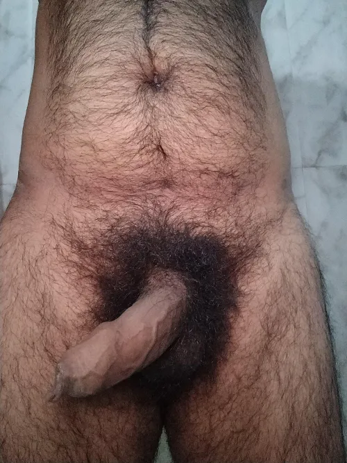 Thumbnail Seeking Takers: Indian_hairy's Bold Offer | InsanelyHairyMen