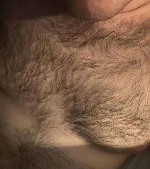 Thumbnail BigBearEire_ Feeling Bored in Bed: An Insanely Hairy Men's Dilemma