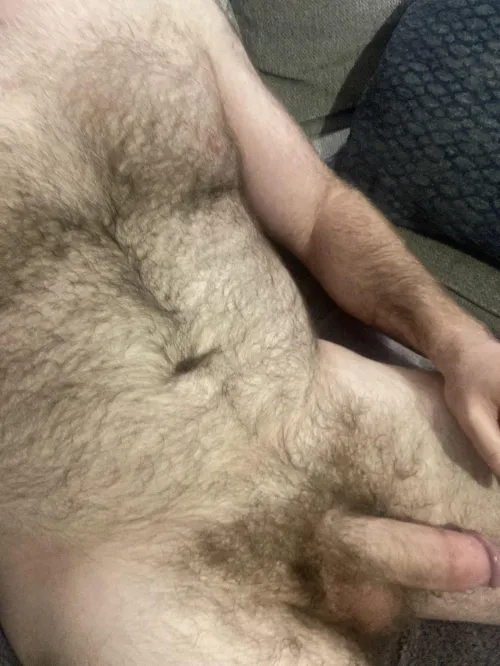 Thumbnail Party_General_8175: Another Liked Post from an Insanely Hairy Men Series