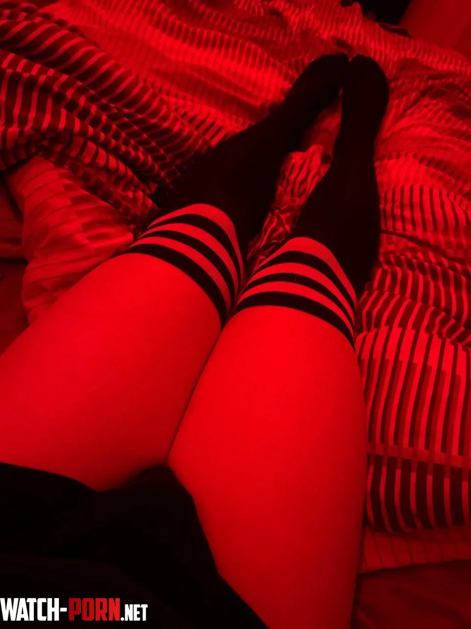 I love my thigh highs x by Brief-Vacation3752