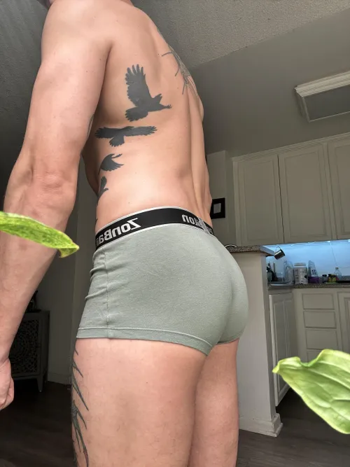 Thumbnail Back in Boxer Briefs - notorious_dani_boy's Allure