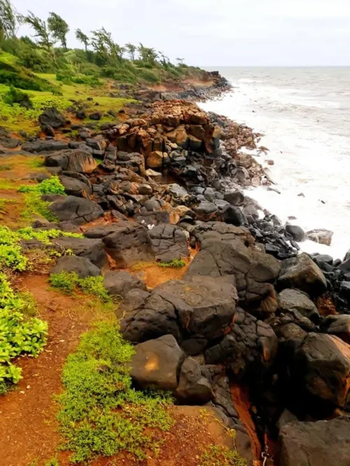 Thumbnail Kealia Kauai 2015 Beach Experience and Guide by luvimages