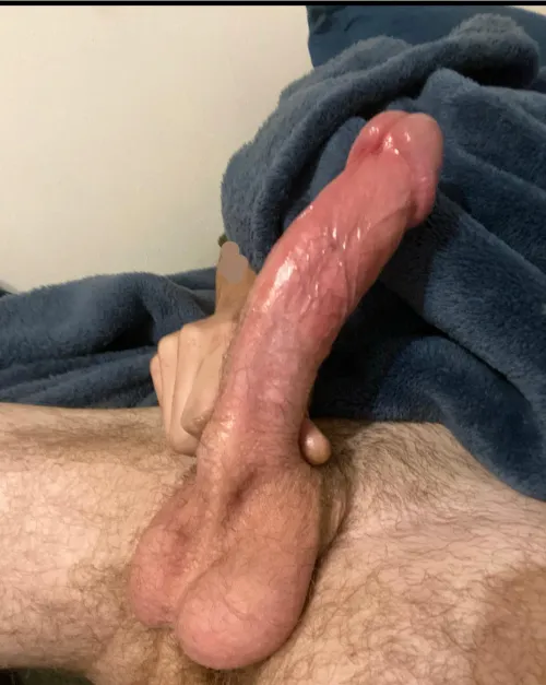 Thumbnail Age Analysis: Feedback on a 21-Year-Old Cock