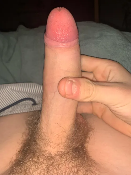 Thumbnail Rate by Minimum-Attention155 in ratemycock