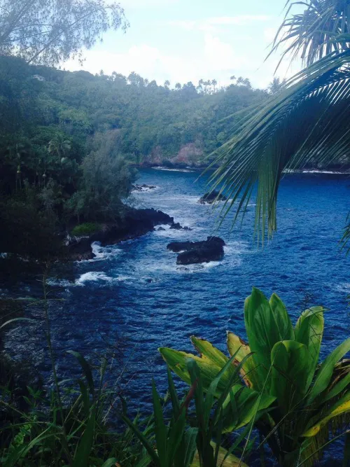 Thumbnail Discovering Hamakua Hawaii's Beach Beauty by colapepsikinnie