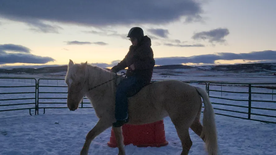 Thumbnail Save a Horse, Ride a Cowgirl: Countrygirl Fantasies Revealed