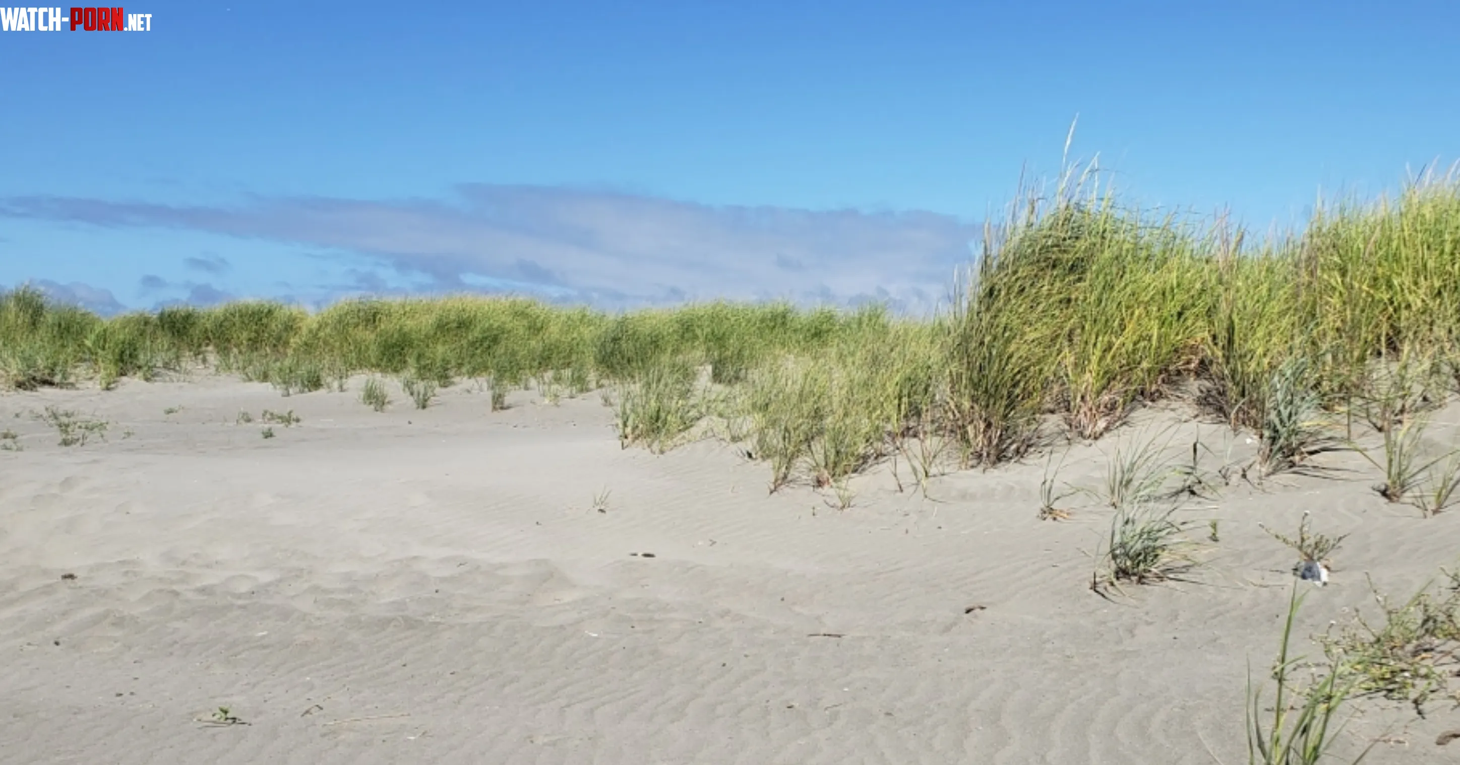 Sandy Ocean Shores beach in Washington state by GoshlynnGacha3004