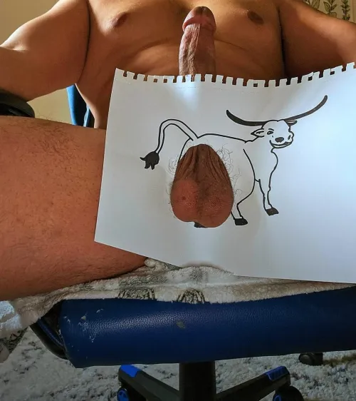 Thumbnail 27: Delving into the World of Hairy Bull Balls by Overall_Cow_7838