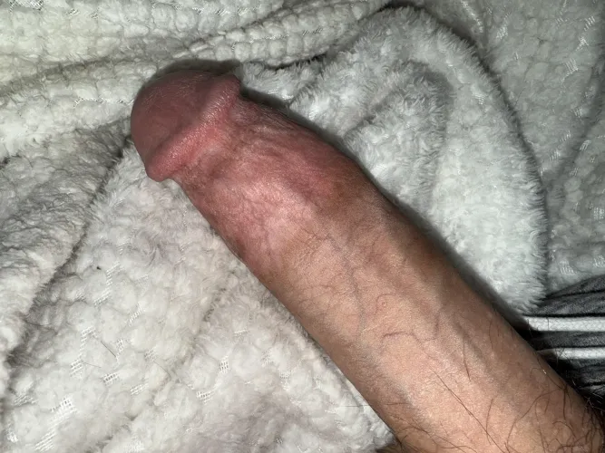 Thumbnail Rate It: A Request from DonnieT47 in ratemycock