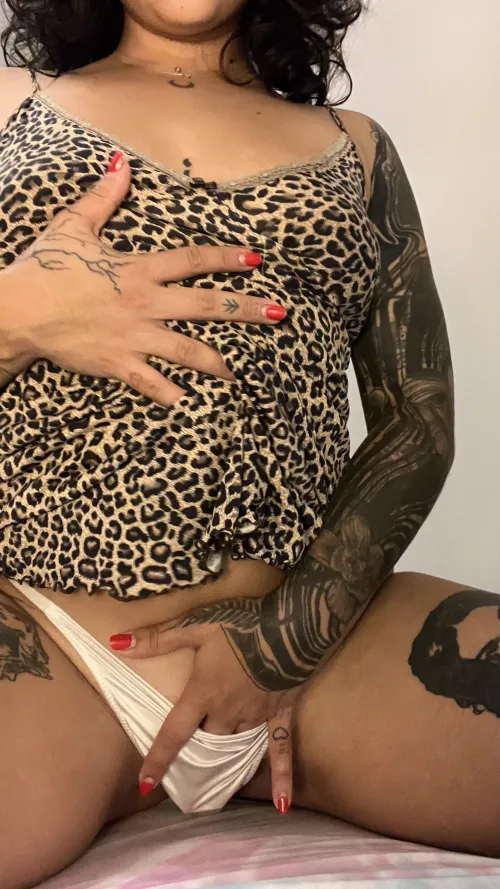 Thumbnail Curvy Authority: My Rules, My Body | Babyxcakess