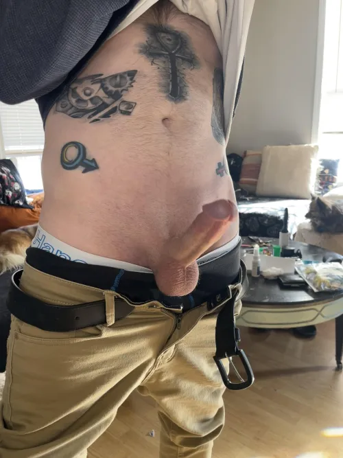 Thumbnail Fantasize with Fat Cocks on Tattooed Studs