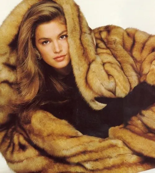 Thumbnail Discovering the Charm of Cindy Crawford | Conscious-Dingo4463