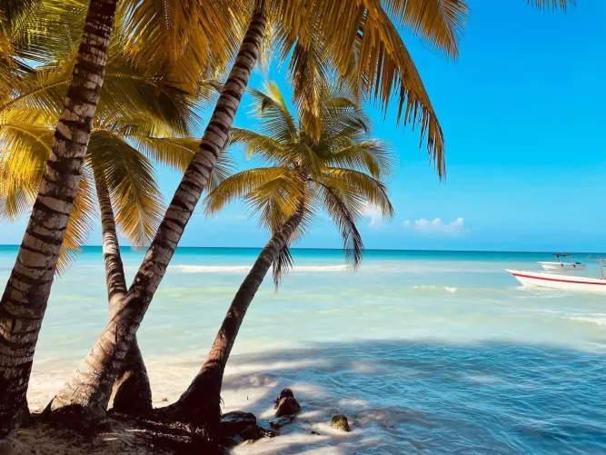 Thumbnail Discover the Beauty of Saona Beach, Dominican Republic | beach