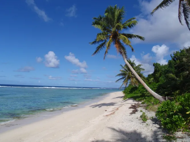 Thumbnail Travel to Rota CNMI: A Beach Lover's Paradise | beach