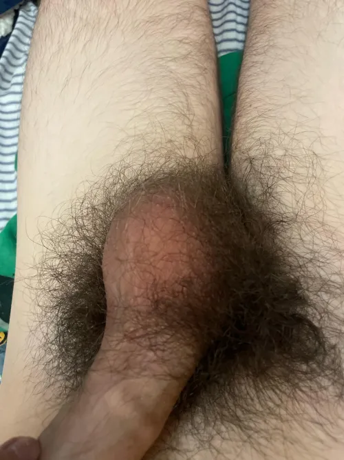 Thumbnail Hairy Confession: Previous-Function652 Opens Up About Balls