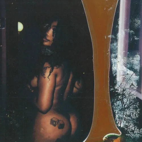 Thumbnail HipHopGoneWild: SZA Polaroid Unveiled by SomeGuyNamedJohn12