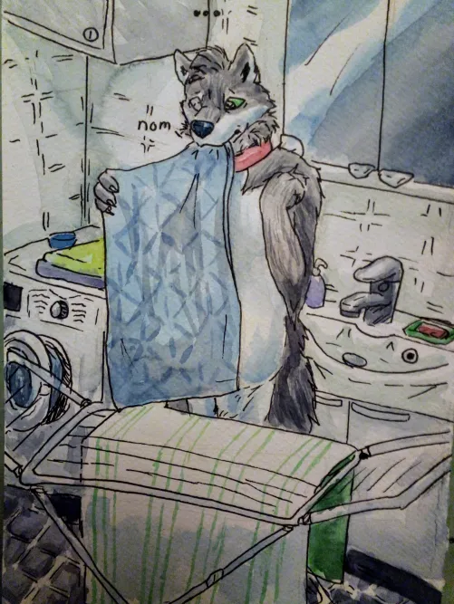 Thumbnail Exploring Laundry Day Tips by Eyfun from the Furry Community