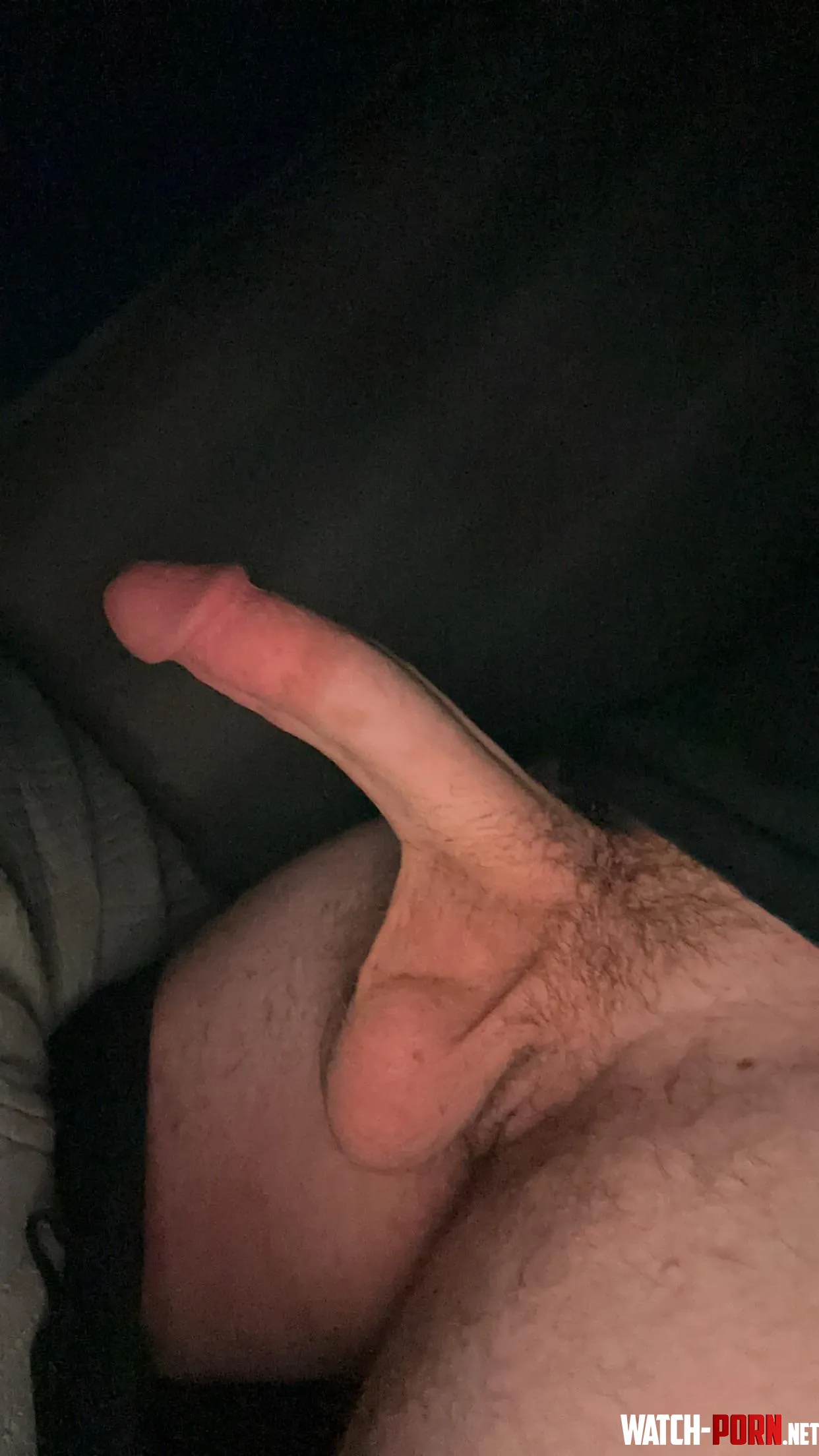 Come suck these low hangers 19 by Ok_Bandicoot4850