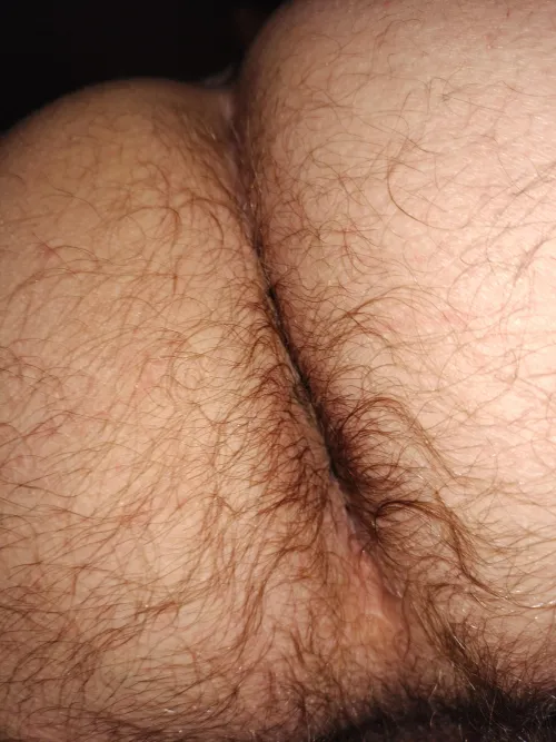 Thumbnail Hairy Ass Delight? | ShortSilverDaddy manass