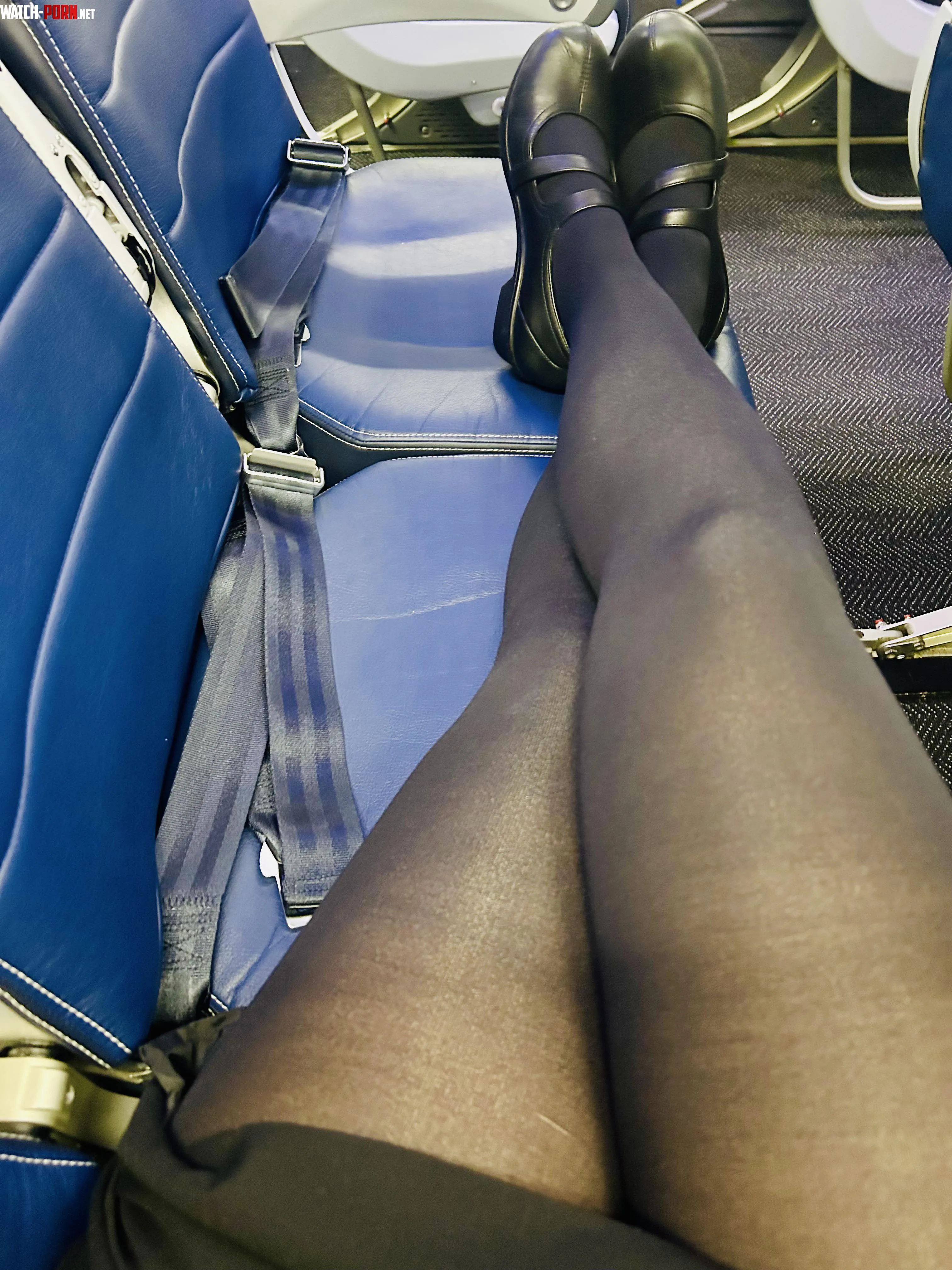 Lucky pantyhose have their own row  by flytoeat