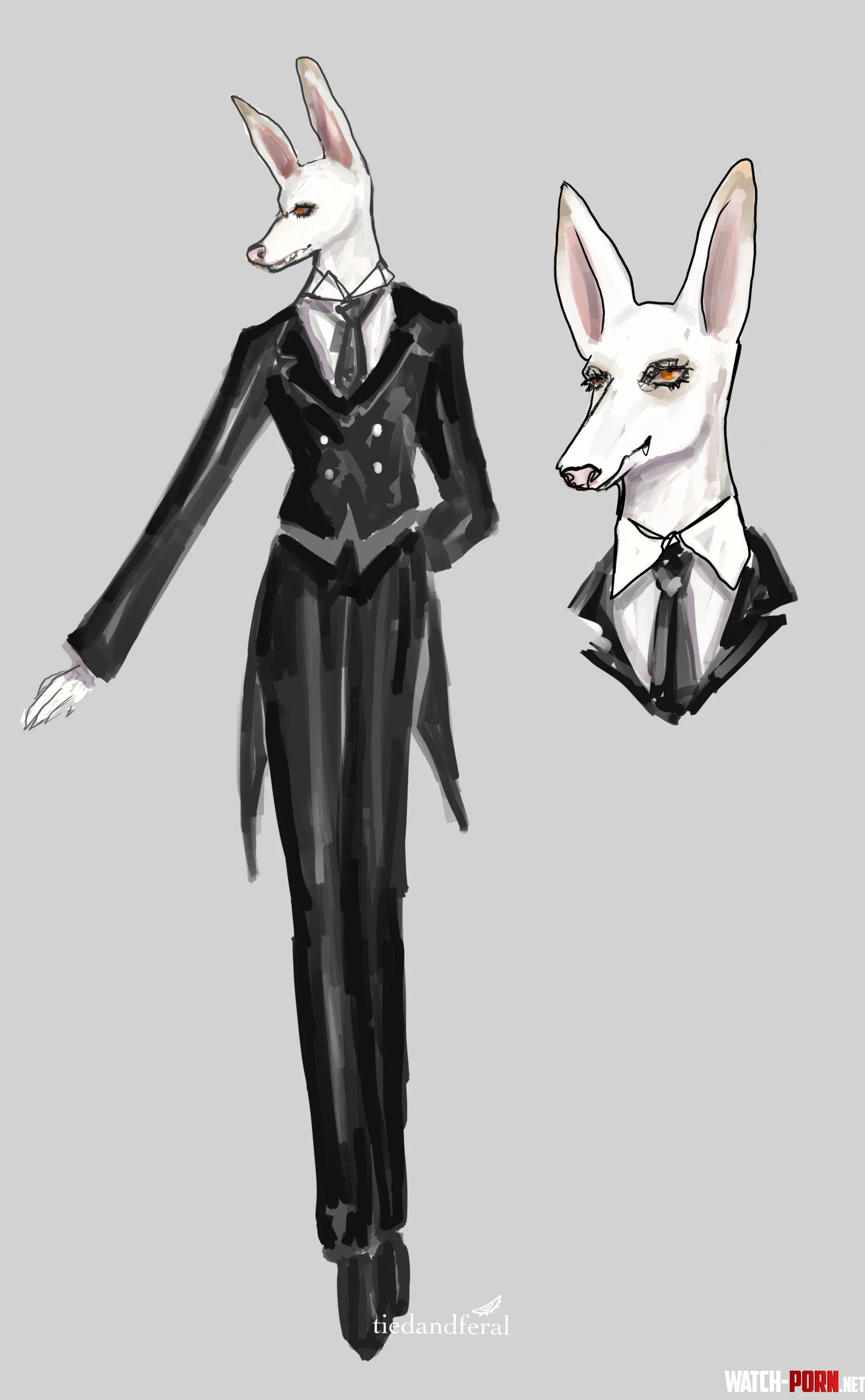 Ibizan Hound Butler by me tiedandferal by tiredandferal