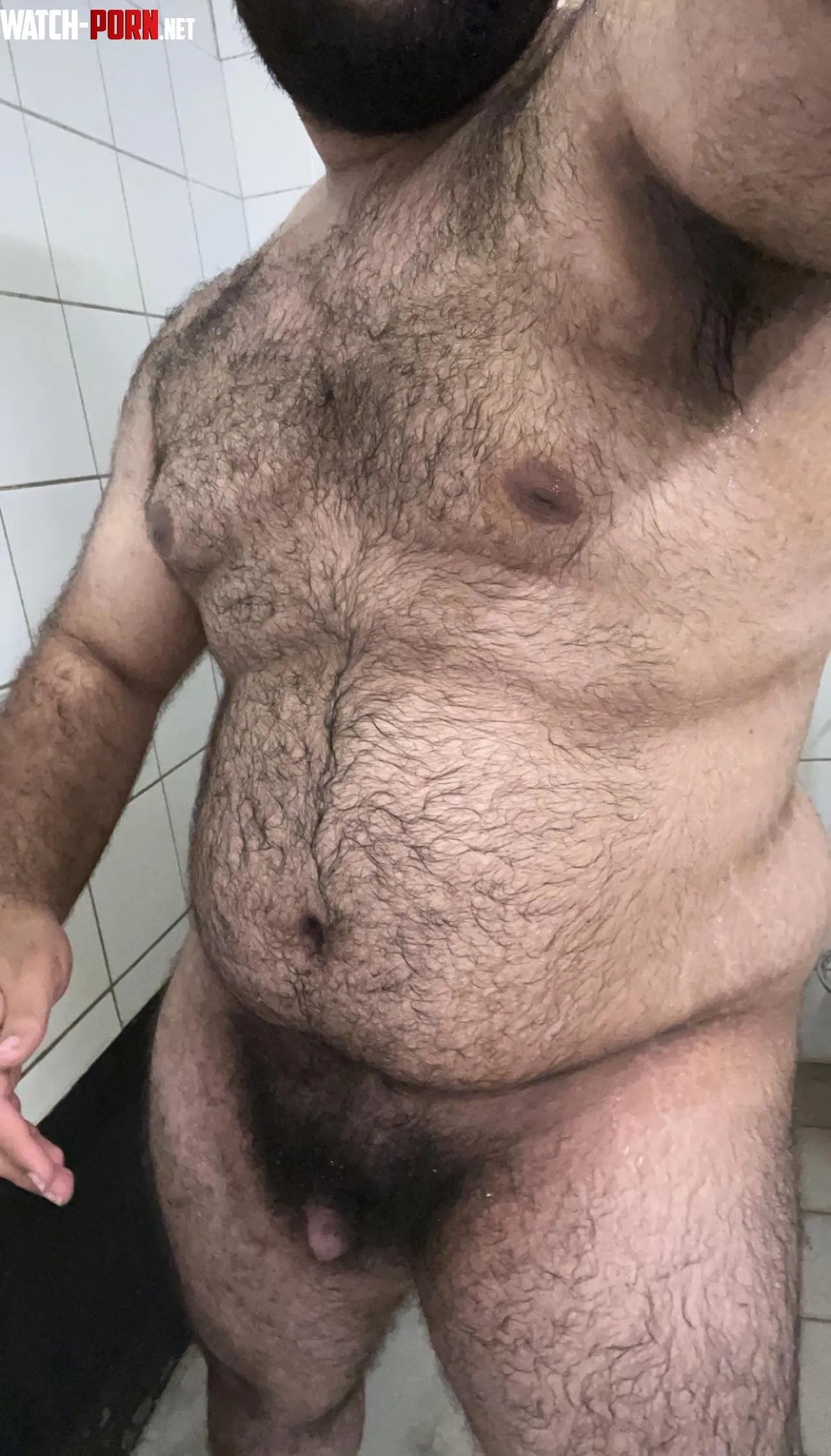 21 hairy gaymer bottom bear anyone wanna play Marvel Rivals by MelAelZel