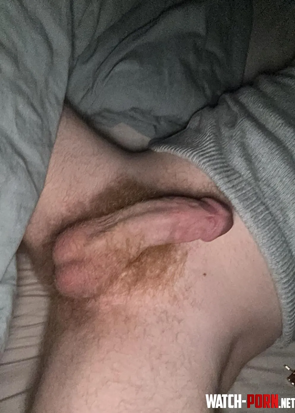 22 hairy and horny hmu by mattreddit1221