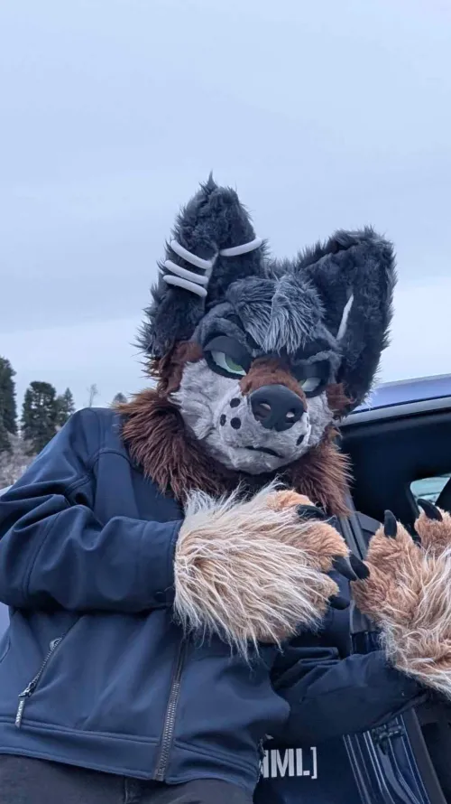 Thumbnail First Suit Triumph - Inspiring Tales from the Furry Community