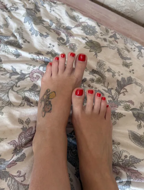 Thumbnail Polished Pleasure: New Red Polish for Fetish Foot Day | Forisent