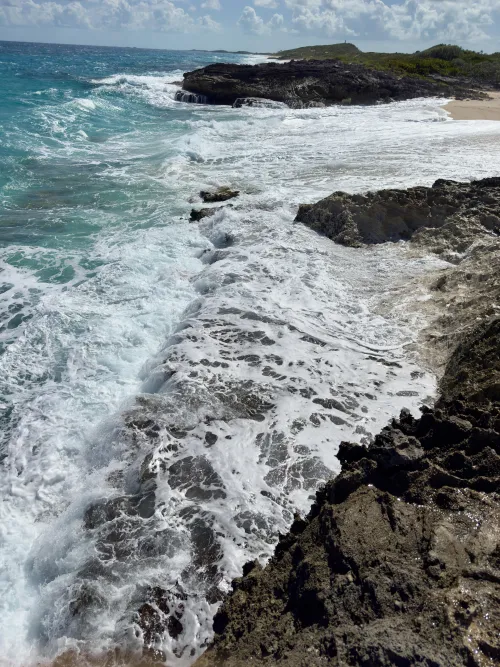 Thumbnail Admire Another Windy Day in serene beach vibes