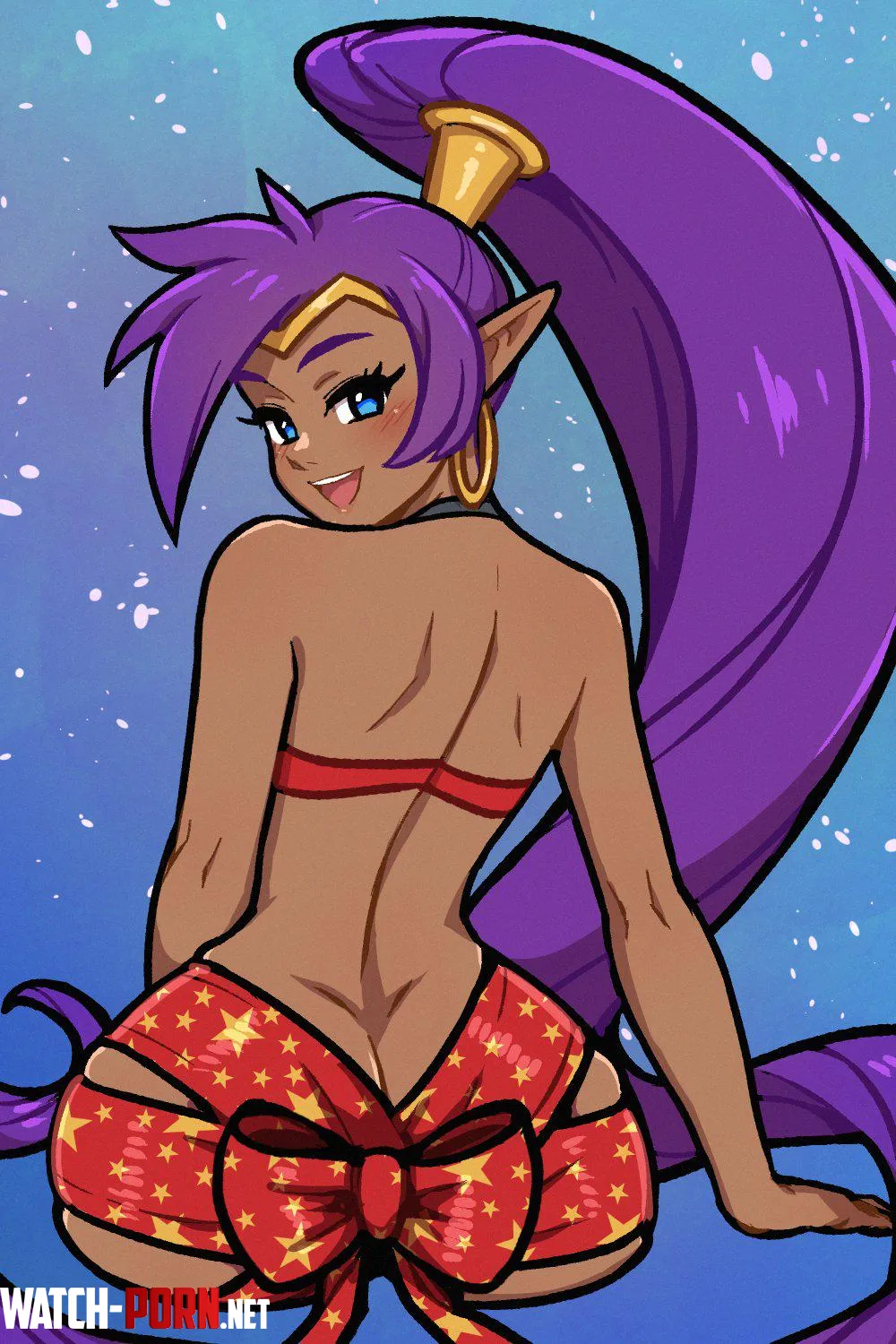 shantae akairiot by mrtecta