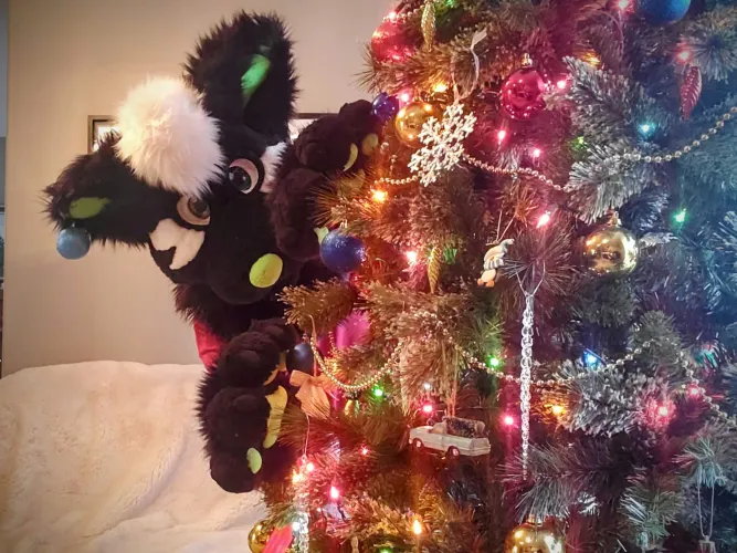 Thumbnail Furry Festivities: Merry Christmas | kaioker2