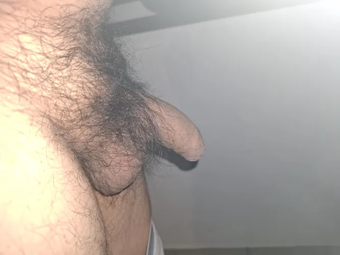 Thumbnail Mexican Penis at M22 - Insights Shared