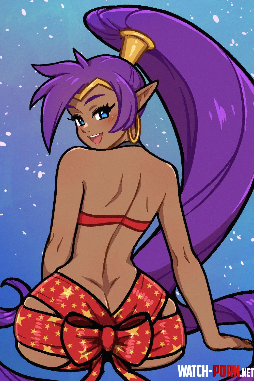 shantae akairiot by mrtecta