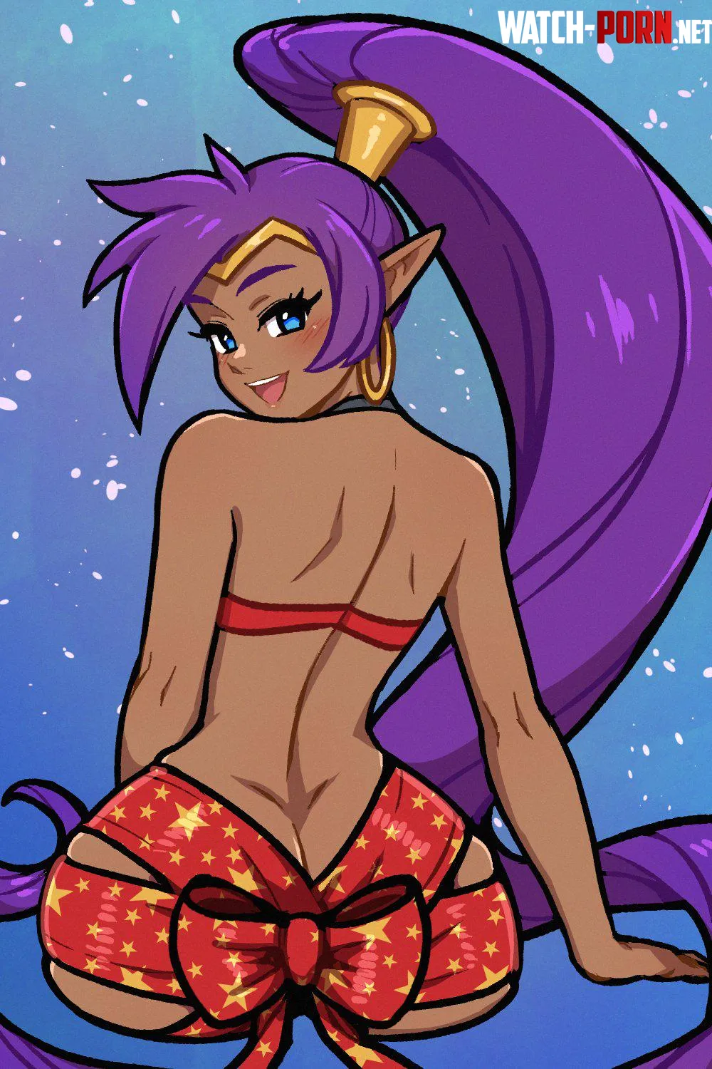 shantae akairiot shantae by mrtecta