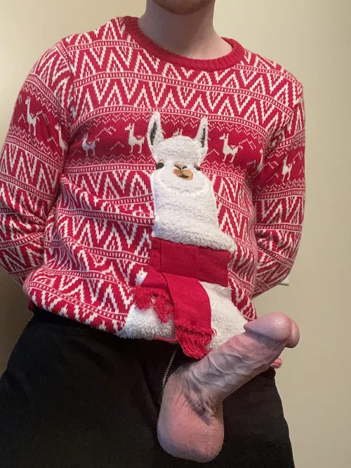 Thumbnail Merry Christmas, Filthy Animals! - 29 | Broslikeus