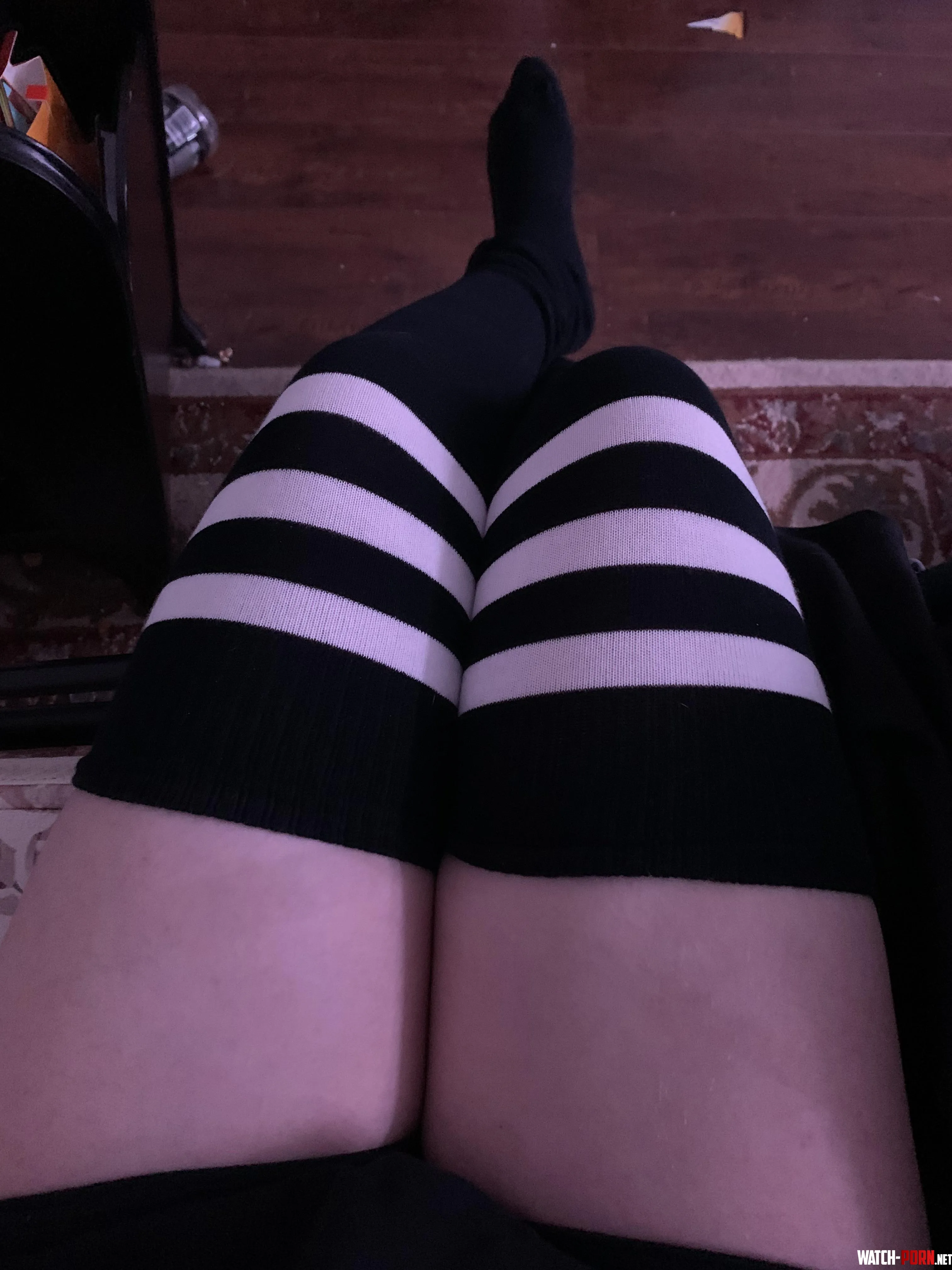 i got femboy socks for christmas gtwlt by _spookyyz