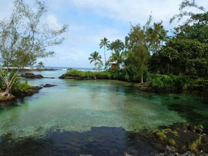 Thumbnail Hilo Hawaii: A Beachside Escape by colapepsikinnie