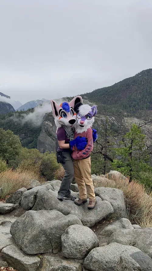 Thumbnail Finn770123's Furry Adventures at Yosemite for Christmas