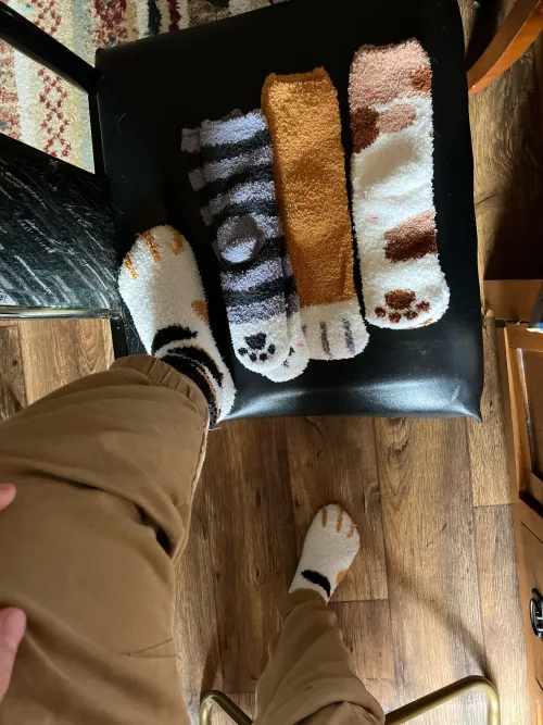 Thumbnail Cat Socks Gift Surprise - Check out literallyfrickindead's Christmas Joy