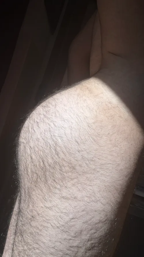 Thumbnail Exploring Hairy Allure | Single_Goose528 in GayPorn Realm