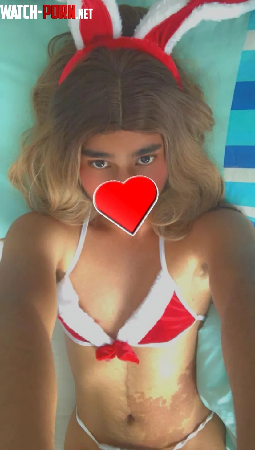 Would you try a bengali sissy for christmas  by shadiyahtwink