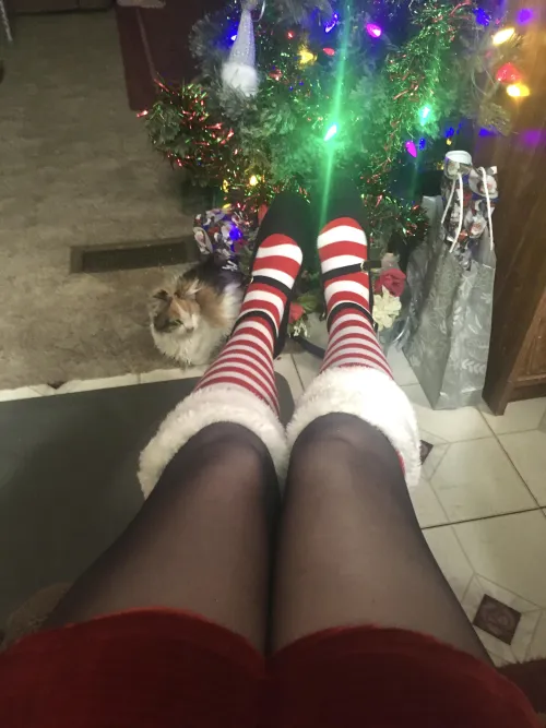 Thumbnail Feline Fascination: Ellie_in_socks' Pantyhose Photo Tale