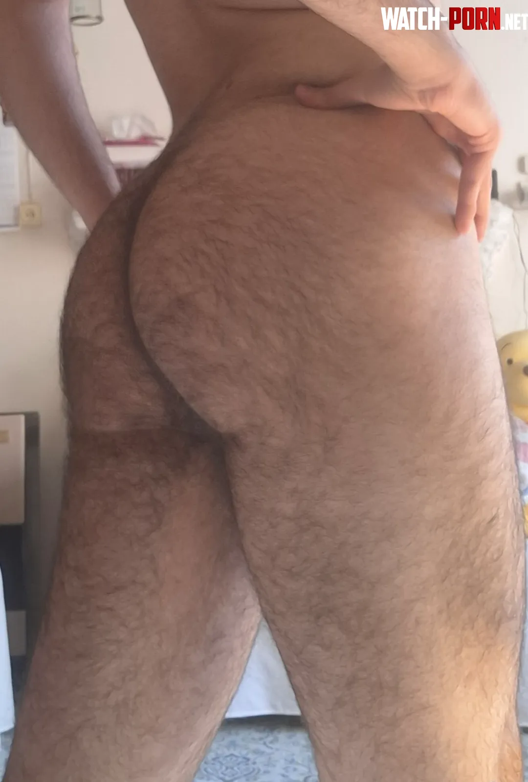 So there is more of my hairy ass by Single_Goose528