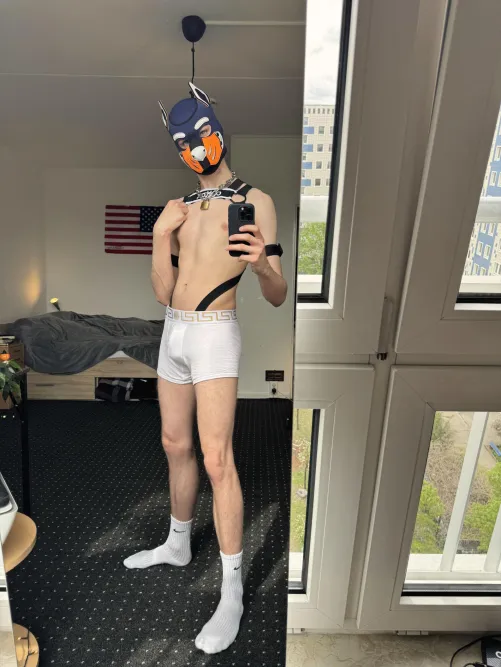 Thumbnail Jake_Taro: Rate My Outfit in the World of Petplay