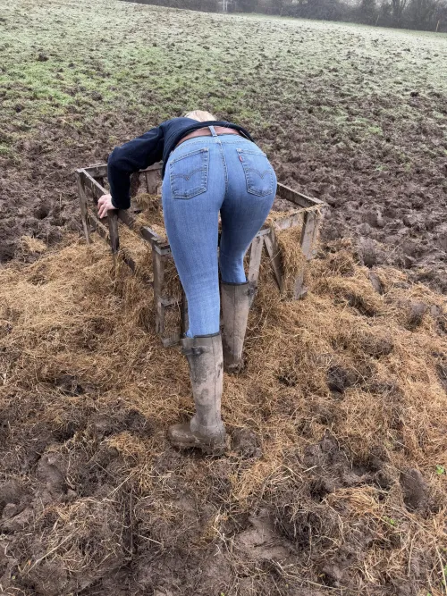 Thumbnail Feeding Time for the Horses: A Countrygirls Tale