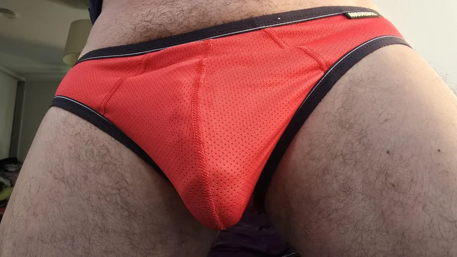 Thumbnail CBRglen Showcases Today's Intriguing Bulge - Dive In!