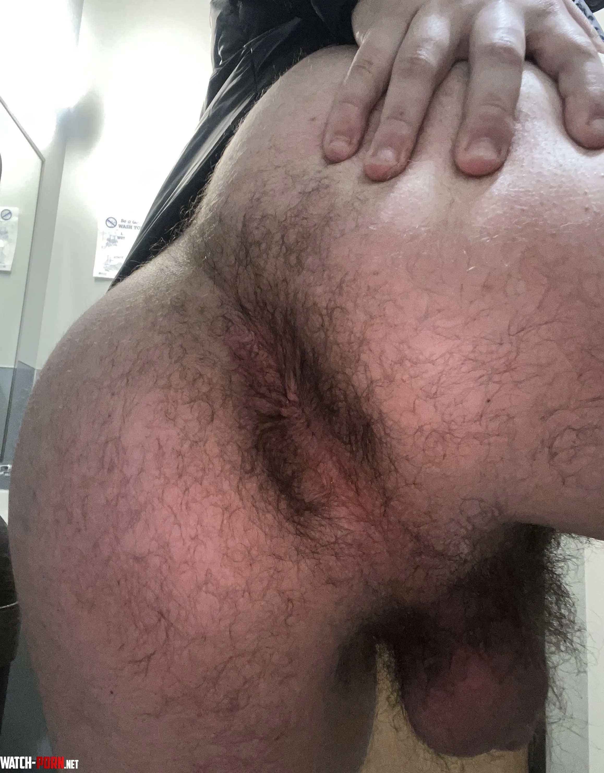 Felt horny at work for all these cocks and asses Bury your face in my furry hole  by Equivalent-Catch9938