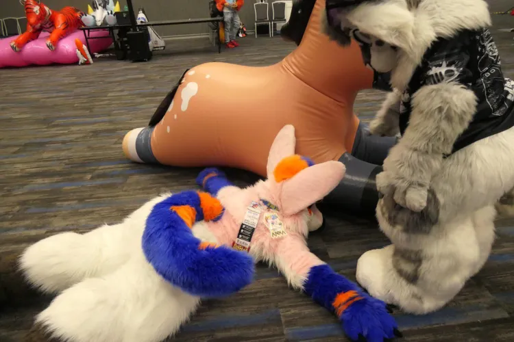 Thumbnail Finn770123 Explores Flat - A Furry Experience | furry